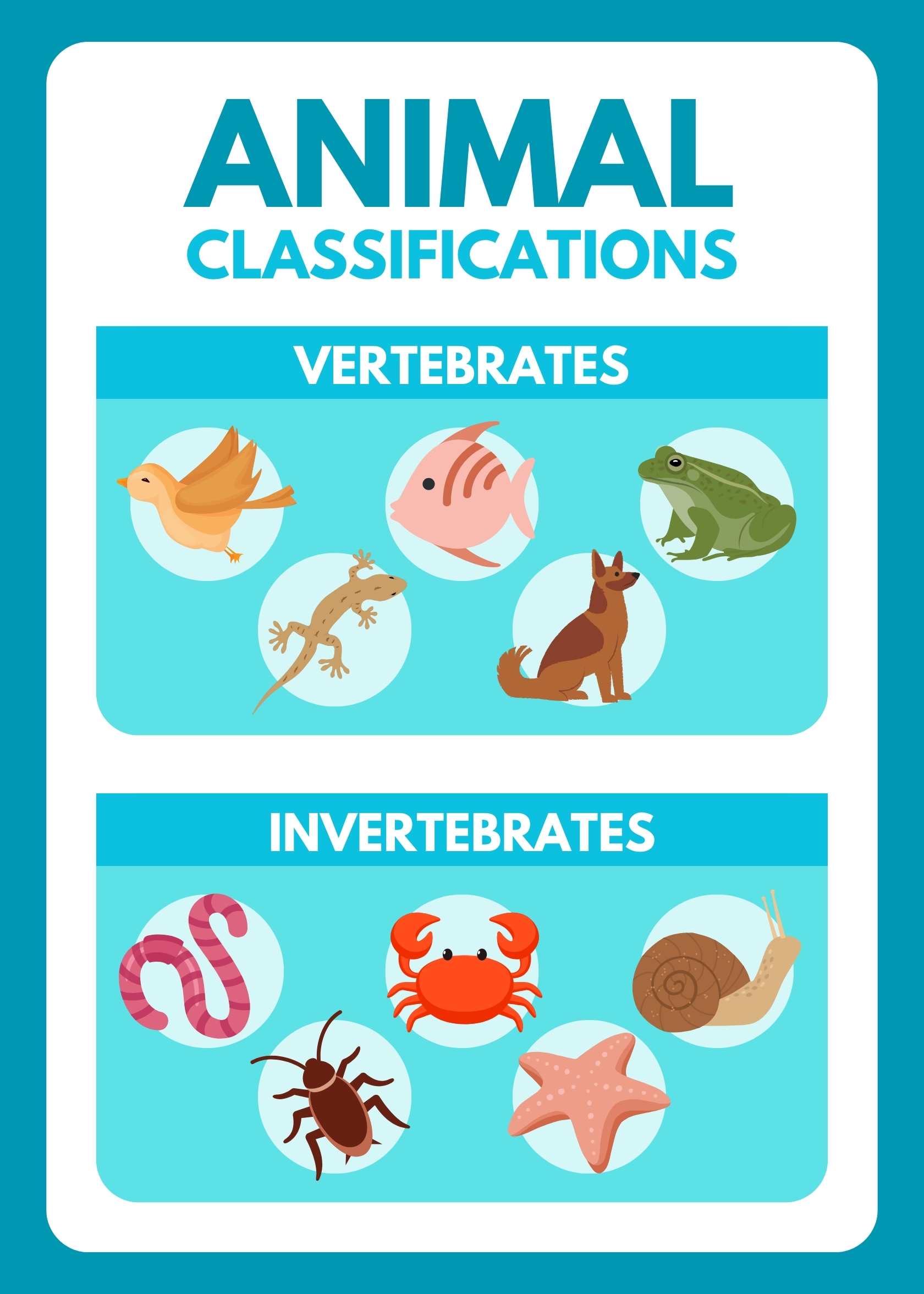 Animal Classification - Concepts Lab